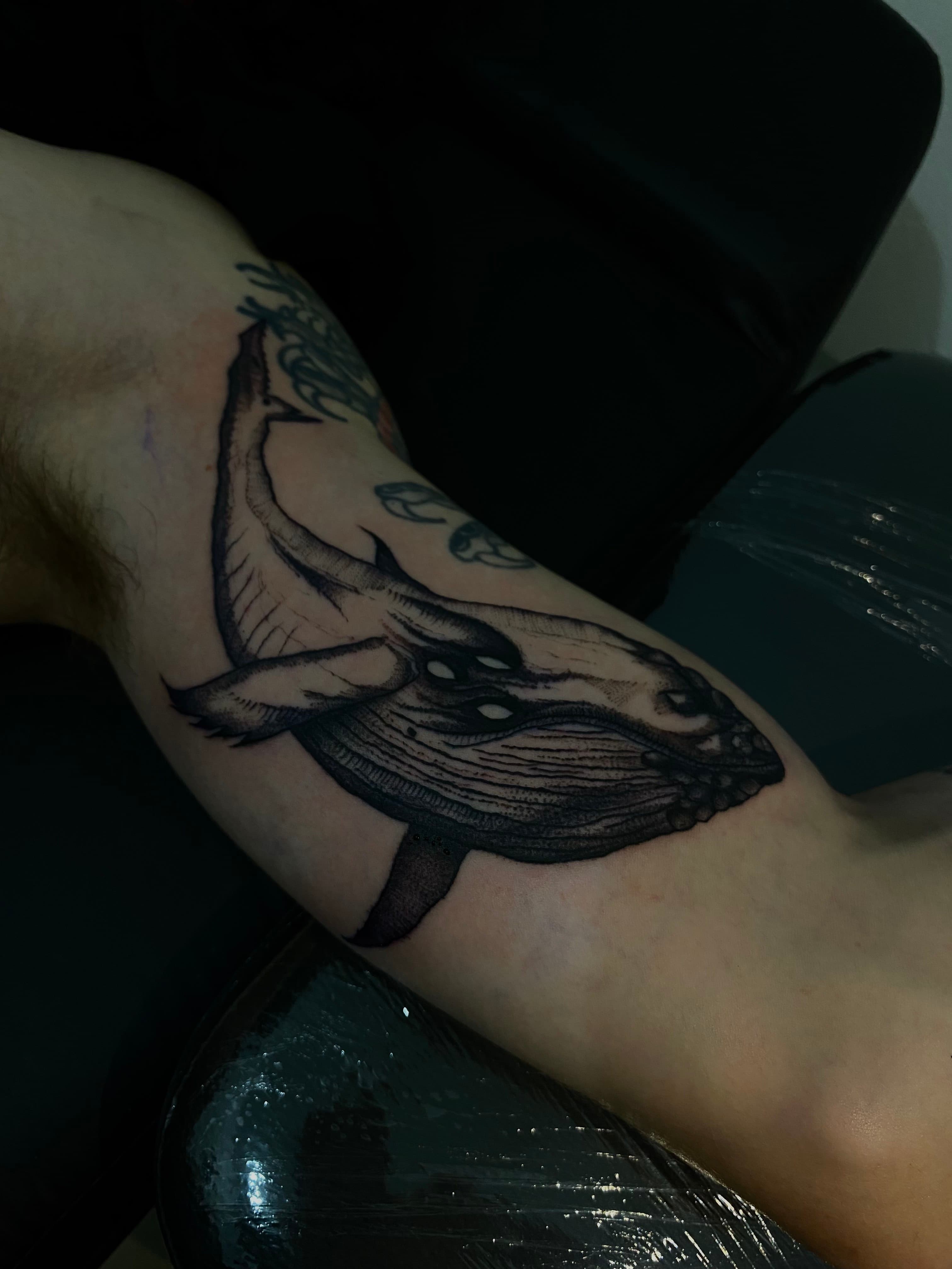 Blackwork Baleia